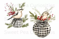 Christmas, Birds, Ephemera, PNG, watercolor, Clipart Product Image 3