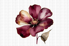 12 Burgundy Red and Gold Flowers PNG Product Image 9