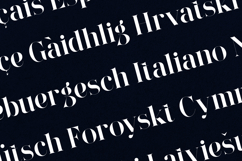 Wonderz Vintage Edition Elegant Serif Font Product Image 3