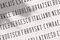 Crossroad - Long Slab Serif Product Image 3