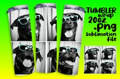 Hilarious Dog Portraits Tumbler Wrap for 20oz Product Image 1