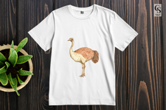 Watercolor Ostrich Clipart Sublimation PNG Product Image 2