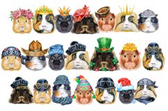 Borders from guinea pigs Product Image 4