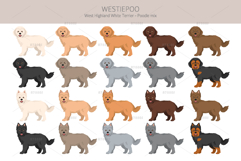 Westiepoo dog Product Image 2