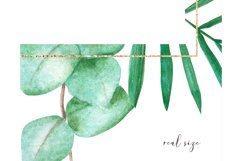 Tropical frame watercolor clipart PNG #w161 Product Image 4