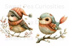 Birds, Christmas, Fall, Ephemera, PNG, watercolor, Clipart Product Image 3