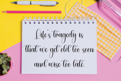 Baby Daisy Product Image 3