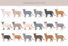 Ukrainian Levkoy cat clip art Product Image 3