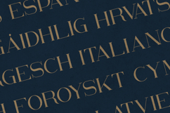 Kalorama Elegant Serif Typeface Product Image 3