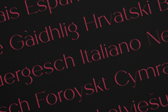 Tweedle Display Font Elegant Modern Serif for Branding Product Image 3