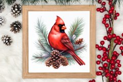 Christmas Cardinal Watercolor Clipart, Christmas Cardinal Product Image 3