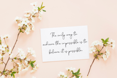 Adelya Product Image 3