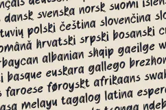 Sylve Expressive Brush Drawn Sans Font Product Image 3