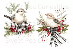 Christmas, Birds, Ephemera, PNG, watercolor, Clipart Product Image 3