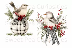 Christmas, Birds, Ephemera, PNG, watercolor, Clipart Product Image 3