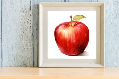 Watercolor Apple Clipart Product Image 3
