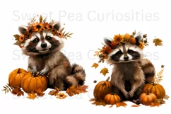 Autumn, Racoon, Fall, Ephemera, PNG, watercolor, Clipart Product Image 3