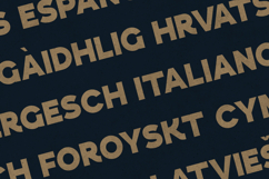 Esquie Modern Bold Sans Serif Font Product Image 3