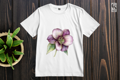 Hellebore Watercolor Floral Illustration Clipart PNG Product Image 2