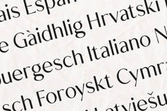 Creators Type Modern Serif Display Font Product Image 3