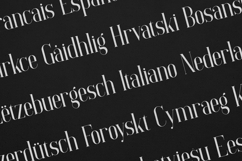 Elysian Elegant Modern Serif Font Product Image 3