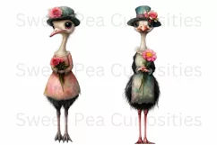 Birds, Ostrich, Ephemera, PNG, watercolor, Clipart Product Image 3