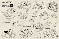 Nuts Procreate stamp brushes Product Image 3