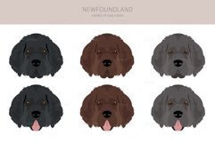 Newfoundland cliaprt Product Image 5