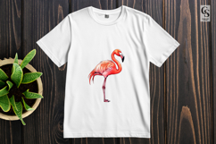 Pink Flamingo Bird Illustration Clipart Sublimation PNG Product Image 3