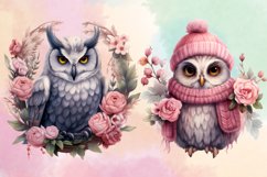 Christmas Owl Clipart Bundle, Christmas Owl Bundle Product Image 4