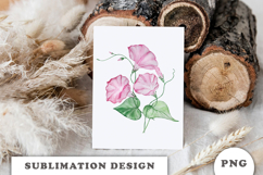 Watercolor Morning Glory Flowers Bouquet png Product Image 3
