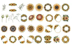 Watercolor Sunflower Clipart PNG Product Image 2