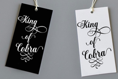 Manhattan Script Product Image 3