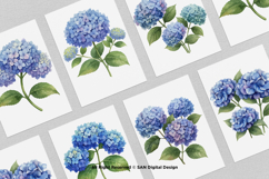 15 Bundle Watercolor Hydrangea Flower Blue Floral Garden Product Image 3