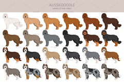 Aussiedoodle, Aussie Poodle mix Product Image 2
