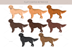 Flat Coated Retriever clipart Product Image 2