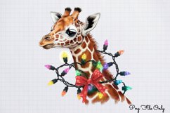 Christmas Giraffes Clipart Bundle PNG Product Image 4
