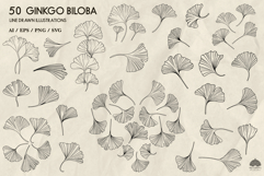 Ginkgo biloba line art collection Svg Png Eps Product Image 3
