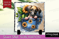 Denim Slate PNG - Dog In Pocket Square Slate Sublimation Product Image 1