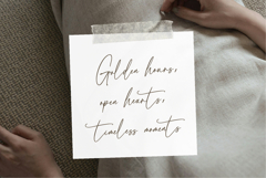 Blush A Script Font Product Image 6