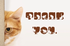 Funny Cats - Cute Decorative Font Product Image 4