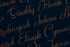 Serifora Elegant Signature Script Font Product Image 3