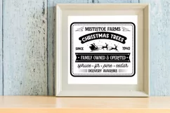 Mistletoe farms christmas trees family owned & operated sinc Product Image 2