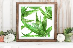 Aloe Vera Watercolor Digital Paper Backgrounds Product Image 3