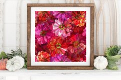 Zinnia Elegans Floral Alcohol Ink Digital Paper Backgrounds Product Image 3