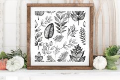 Botanical Plants Herbs Leaves Digital Paper Backgrounds Product Image 3