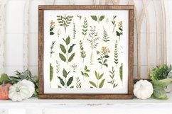 Cottage core Botanical Herbs Digital Paper Backgrounds Product Image 3
