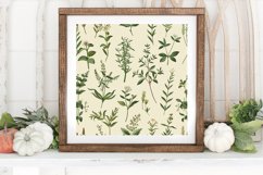 Cottage core Vintage Botanical Herb Digital Paper Background Product Image 3