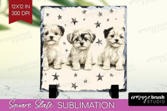 Cute Dogs Slate PNG - Puppy Square Slate Sublimation Product Image 1