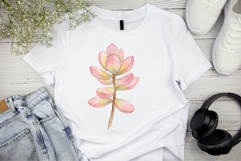 Watercolor Succulent Clipart PNG Product Image 3